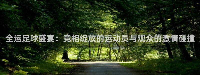 vsport体育平台app下载安装免