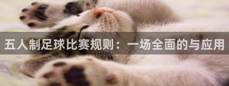 vsport体育在线官网：五人制足球比赛规则：一场全面的与应