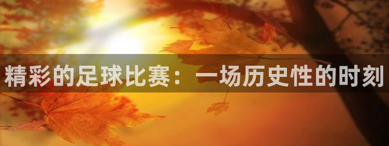  vsport体育平台app：精彩的足球比赛：一场历史性的时刻
