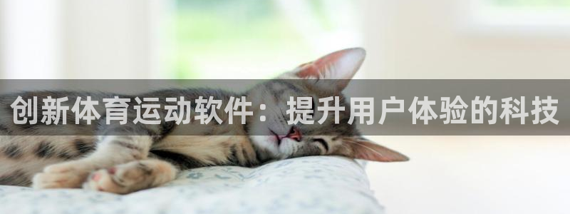 皇冠277体育：创新体育运动软件：提升用户体验的科技