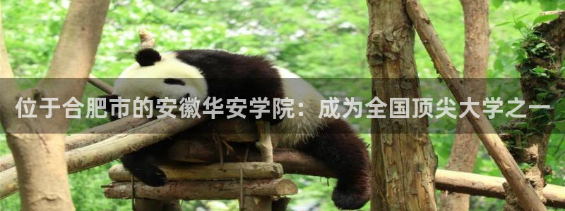 77体育app下载官网：位于合肥市的安徽华安学院：成为全国顶尖大学之一